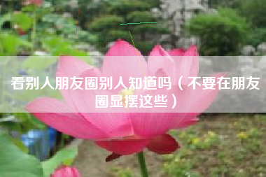 看别人朋友圈别人知道吗（不要在朋友圈显摆这些）