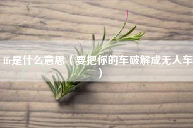 ffr是什么意思（要把你的车破解成无人车）