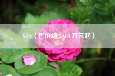 详细阅读:619y(售价约 30.08 万元起) 619y(售价约 30.08 万元起)