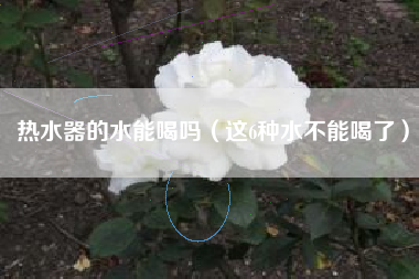 详细阅读:热水器的水能喝吗(这6种水不能喝了) 热水器的水能喝吗(这6种水不能喝了)
