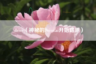 drive（神秘的Drive.ai开始路测）
