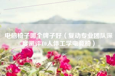 电脑椅子哪个牌子好(复动专业团队深度测评T0人体工学电竞椅)