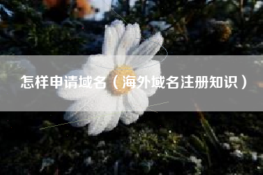 怎样申请域名（海外域名注册知识）