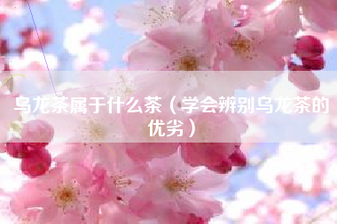 乌龙茶属于什么茶（学会辨别乌龙茶的优劣）
