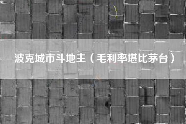 波克城市斗地主(毛利率堪比茅台)