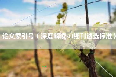 论文索引号（深度解读SCI期刊遴选标准）