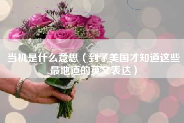 当机是什么意思（到了美国才知道这些最地道的英文表达）