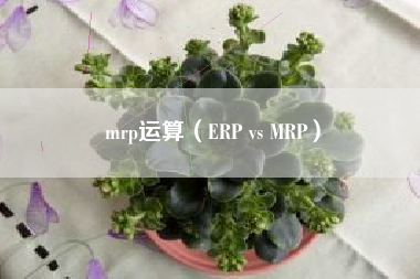 mrp运算(ERP vs MRP)