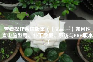 查看操作系统版本（【Windows】如何速查电脑型号、补丁数量、系统与BIOS版本）