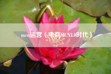 mcn运营（电商MCN3.0时代）