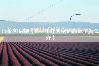 压缩包后缀（Excel工作表密码忘记了怎么办）