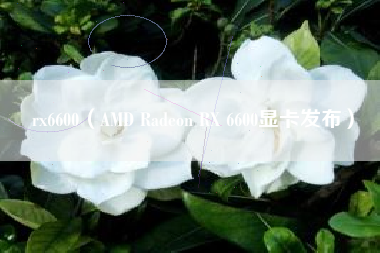 rx6600（AMD Radeon RX 6600显卡发布）