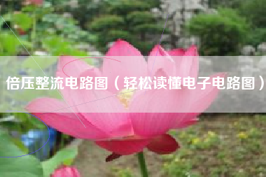 倍压整流电路图（轻松读懂电子电路图）