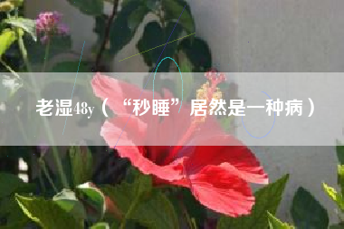 老湿48y(“秒睡”居然是一种病)