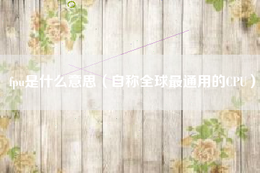 fpu是什么意思（自称全球最通用的CPU）