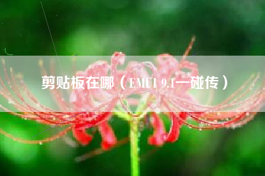 剪贴板在哪(EMUI 9.1一碰传)