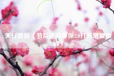 天行数据（节后还有等保2.0打开增量市场）