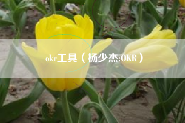 详细阅读:okr工具(杨少杰:OKR) okr工具(杨少杰:OKR)