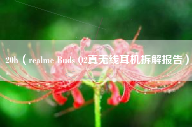 20h（realme Buds Q2真无线耳机拆解报告）