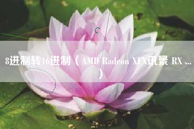 8进制转16进制（AMD Radeon XFX讯景 RX ...）
