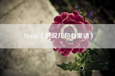 13mini（说说几句心里话）