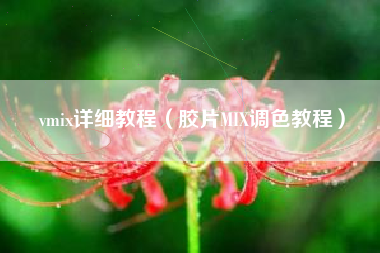 vmix详细教程（胶片MIX调色教程）