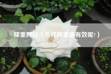 降重网站(怎样降重最有效呢?)