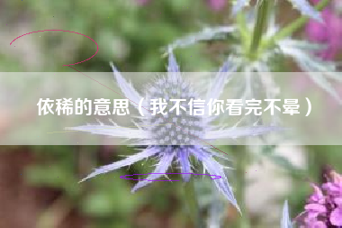 依稀的意思(我不信你看完不晕)