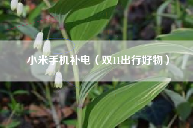 小米手机补电（双11出行好物）