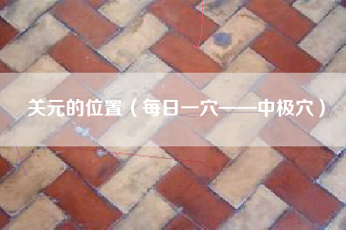 关元的位置（每日一穴——中极穴）