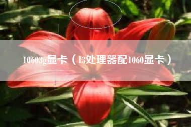 10603g显卡（I3处理器配1060显卡）