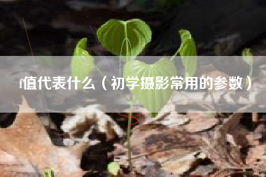 f值代表什么(初学摄影常用的参数)
