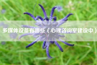多媒体设备有哪些(心理咨询室建设中)