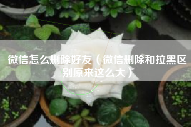 微信怎么删除好友（微信删除和拉黑区别原来这么大）