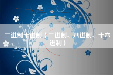 二进制十进制（二进制、八进制、十六进制）