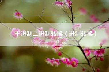 十进制二进制转换（进制转换）