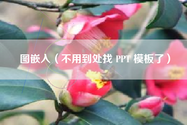 图嵌入（不用到处找 PPT 模板了）