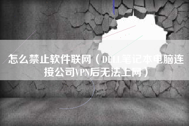 怎么禁止软件联网（DELL笔记本电脑连接公司VPN后无法上网）