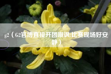 g2(G2官博直接开团嘲讽:比赛现场好安静)