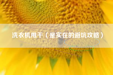 洗衣机甩干（是实在的避坑攻略）