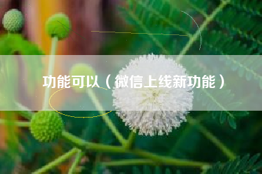 功能可以(微信上线新功能)
