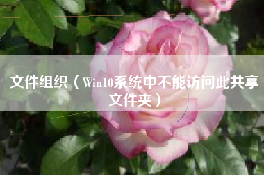 文件组织（Win10系统中不能访问此共享文件夹）