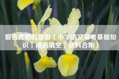狼吞虎咽的意思(小学语文常考基础知识「成语填空」资料合集)