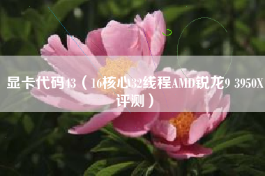 显卡代码43（16核心32线程AMD锐龙9 3950X评测）