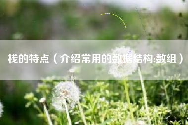 栈的特点（介绍常用的数据结构:数组）