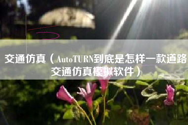 交通仿真(AutoTURN到底是怎样一款道路交通仿真模拟软件)