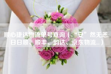 顺心捷达物流单号查询（“安”然无恙:日日顺、顺丰、韵达、京东物流...）