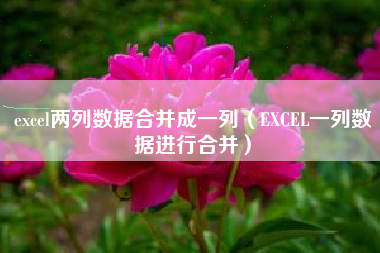 excel两列数据合并成一列(EXCEL一列数据进行合并)