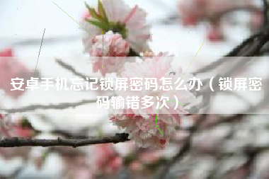 安卓手机忘记锁屏密码怎么办(锁屏密码输错多次)