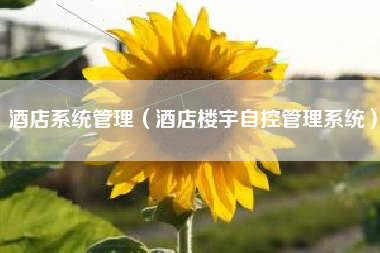 酒店系统管理（酒店楼宇自控管理系统）